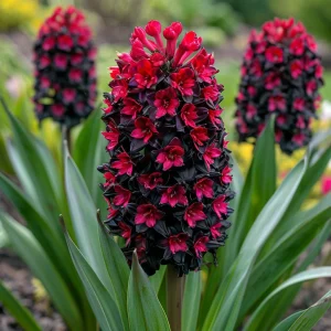 Гиацинт Джем Стоун купить по цене от 2099р. в интернет-магазине «Посадика» с доставкой почтой в в Шимановске и по всей России – [изображение №1].