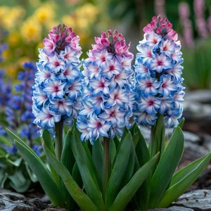 Гиацинт Пинк Мари купить по цене от 2099р. в интернет-магазине «Посадика» с доставкой почтой в в Шимановске и по всей России – [изображение №1].