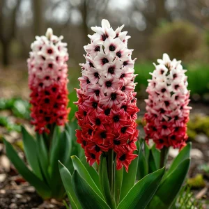 Гиацинт Скай Гарден купить по цене от 2099р. в интернет-магазине «Посадика» с доставкой почтой в в Шимановске и по всей России – [изображение №1].